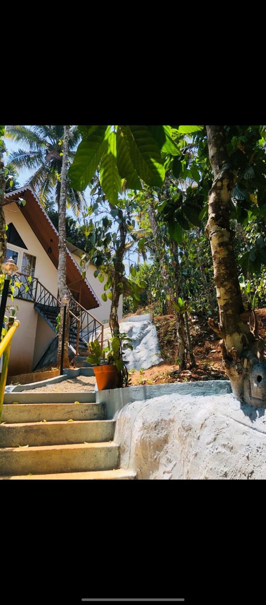 Wood Castle Munnar Guest House Luaran gambar